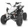 Dětská čtyřkolka ATV Speedy RS 125 cc bílá