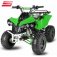 Nitro dětská čtyřkolka Warrior Sport S8 125 cc zelená