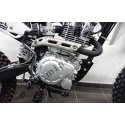 Pitbike Ultimate Scorpion 250 cc 19x16