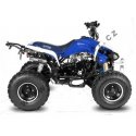 Nitro dětská čtyřkolka Speedy RS 125 cc zelená