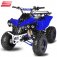 Nitro dětská čtyřkolka Warrior Sport S8 125 cc modrá