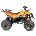 Nitro dětská čtyřkolka Warrior RS Automat 125 cc modrá
